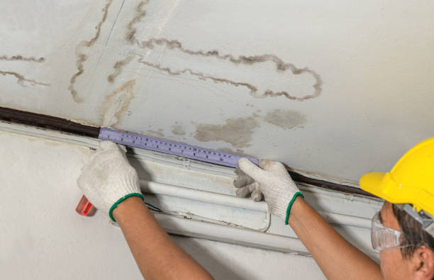 Reliable Structural Drying contractor in Rockland, MA by Water Damage Irwin